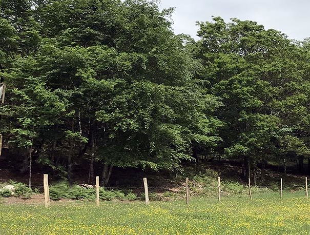 correze-location-cabane-paysage-monedieres